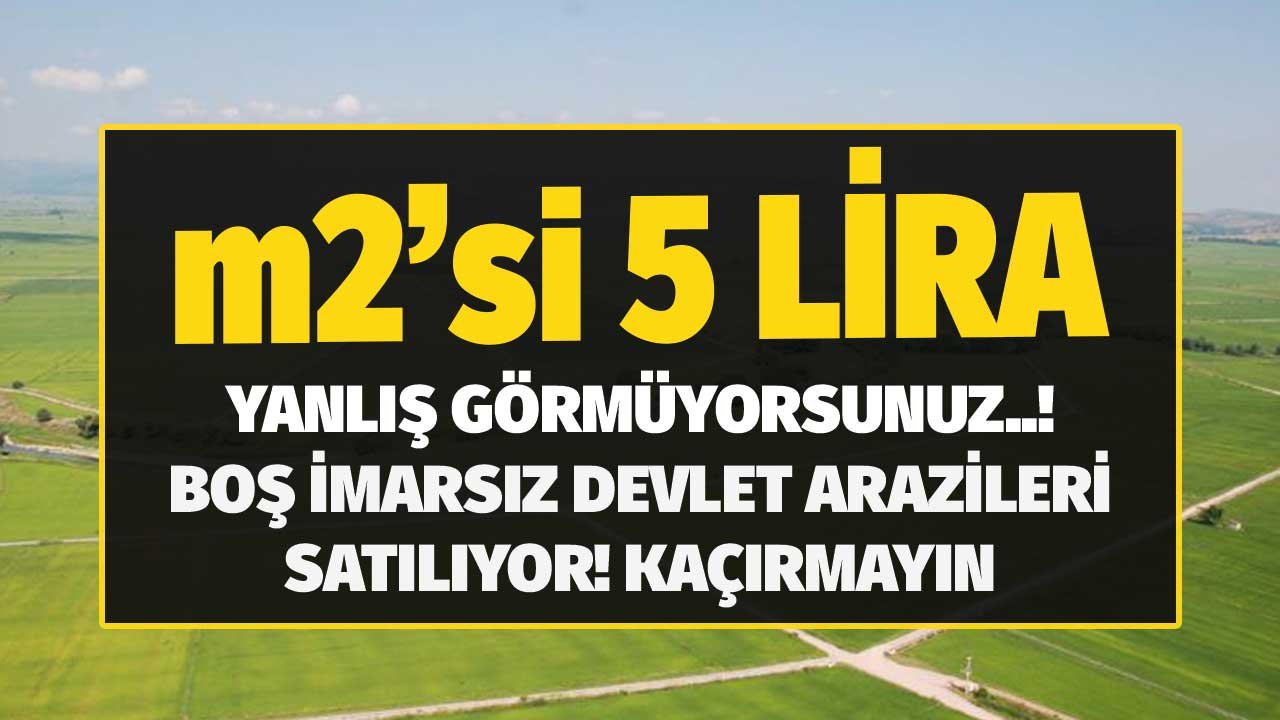 Yanlış Görmüyorsunuz m2'si 5 TL! Boş İmarsız Devlet Arazileri İnanılmayacak Fiyatlara Satış Tablosunda! Kaçırmayın