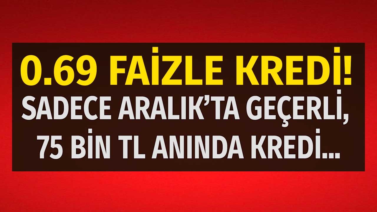 Son Başvuru Tarihi 31 Aralık! 75 Bin Liraya Kadar 0.69 Faizle Kredi Desteği Başvuruları Başladı