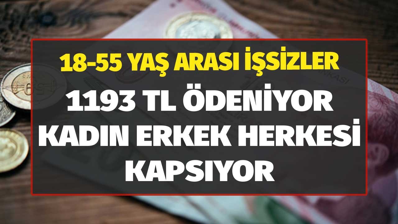 18 55 Yaş Arası İşsizler! 1193 Lira Ödeniyor Kadın Erkek Herkesi Kapsıyor