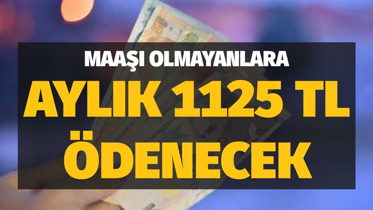 Bu 4 Şartı Sağlayanlara Her Ay Ödenecek! Düzenli Geliri Olmayanlara Maaş
