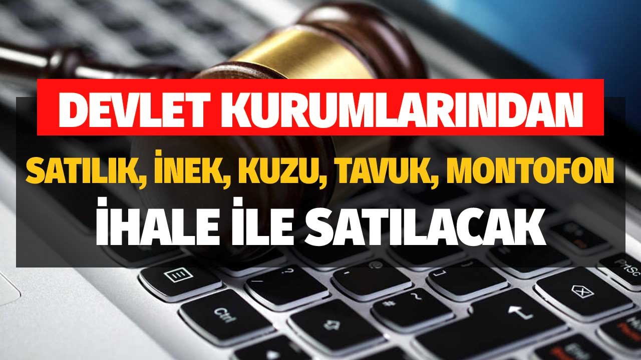 Devletten Satılık Canlı Hayvan! Büyükbaş, Küçükbaş, Tavuk Adet ve Toplu Satış Fiyatları