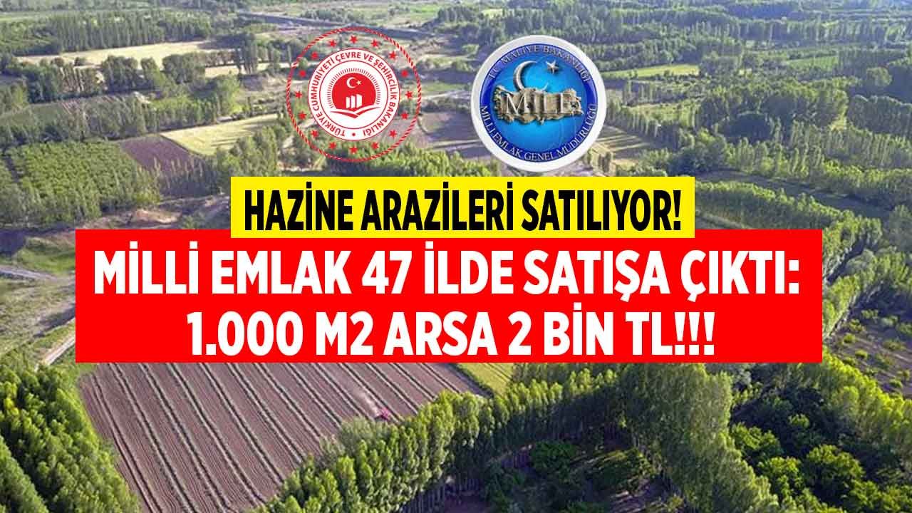 Milli Emlak'tan Yılın Son Fırsatı: Hazine Arazileri Satışı! 1.000 M2 Kamu Arazisi 2 Bin TL Fiyatla Satılıyor