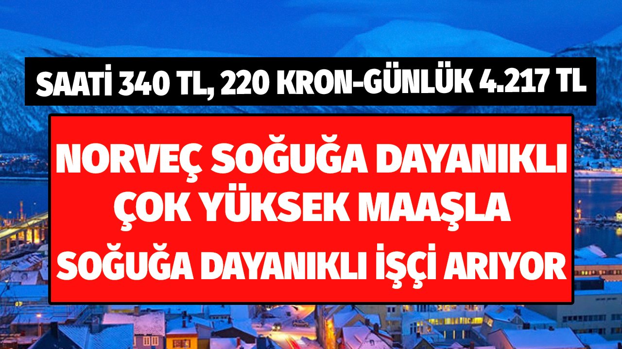 Saati 340 TL 220 Kron, Günlük 4217 TL Ödeniyor! Norveç Çok Yüksek Maaşla Soğuğa Dayanıklı İşçi Alacak