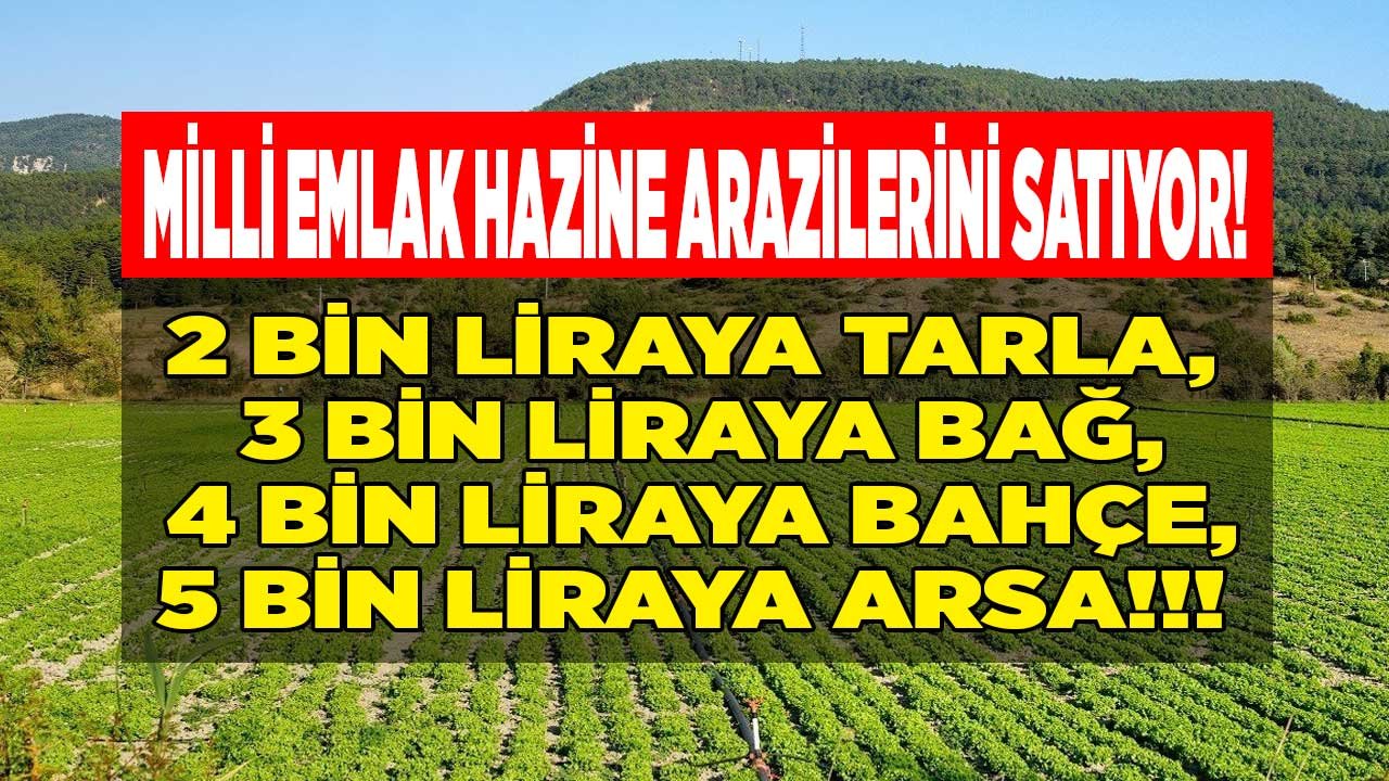 Milli Emlak KDV'siz, Vergisiz Satıyor: 800 M2 Tarla 2 Bin TL, 1000 M2 Bağ 3 Bin TL, 800 M2 Bahçe 4 Bin TL, Arsa 5 Bin TL