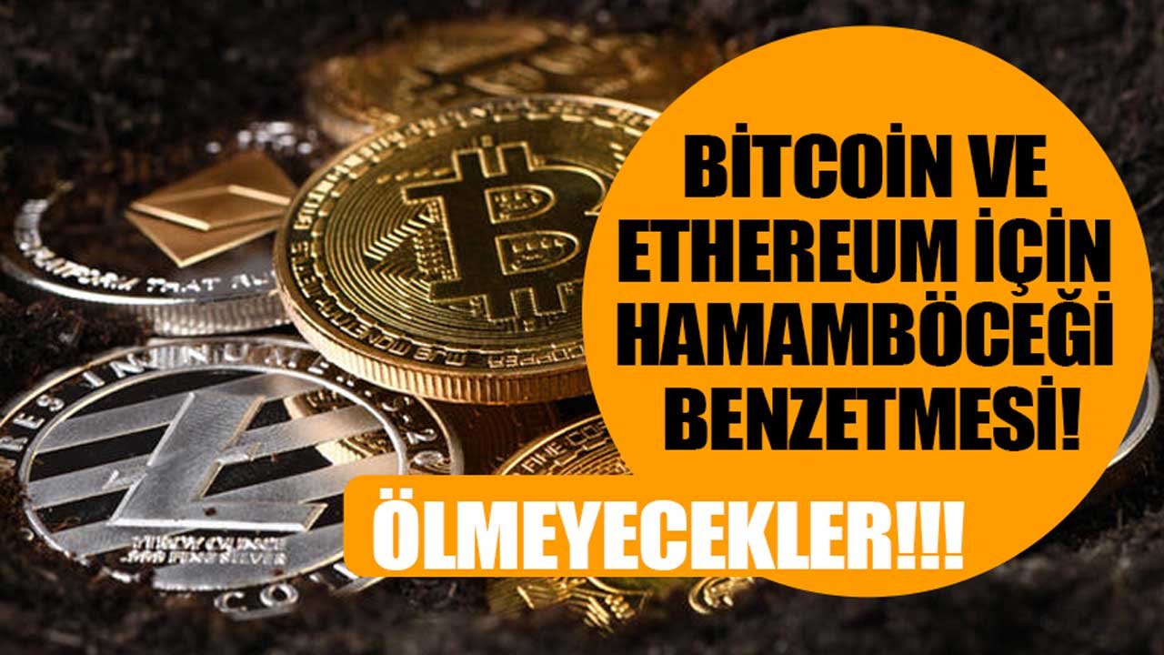 Kawasaki CEO'sundan Bitcoin ve Ethereum İçin Hamamböceği Benzetmesi: Ölmeyecekler!