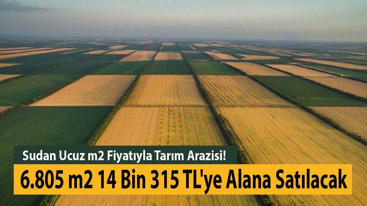 Sudan Ucuz m2 Fiyatıyla Tarım Arazisi! 6.805 m2 14 Bin 315 TL'ye Alana Satılacak