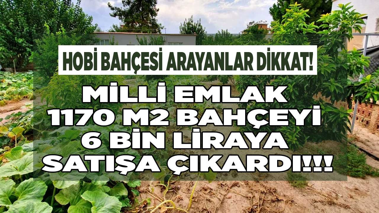 Satılık Hobi Bahçesi Arayanlar Dikkat! Milli Emlak 1170 M2 Bahçeyi 6 Bin Liraya Satıyor