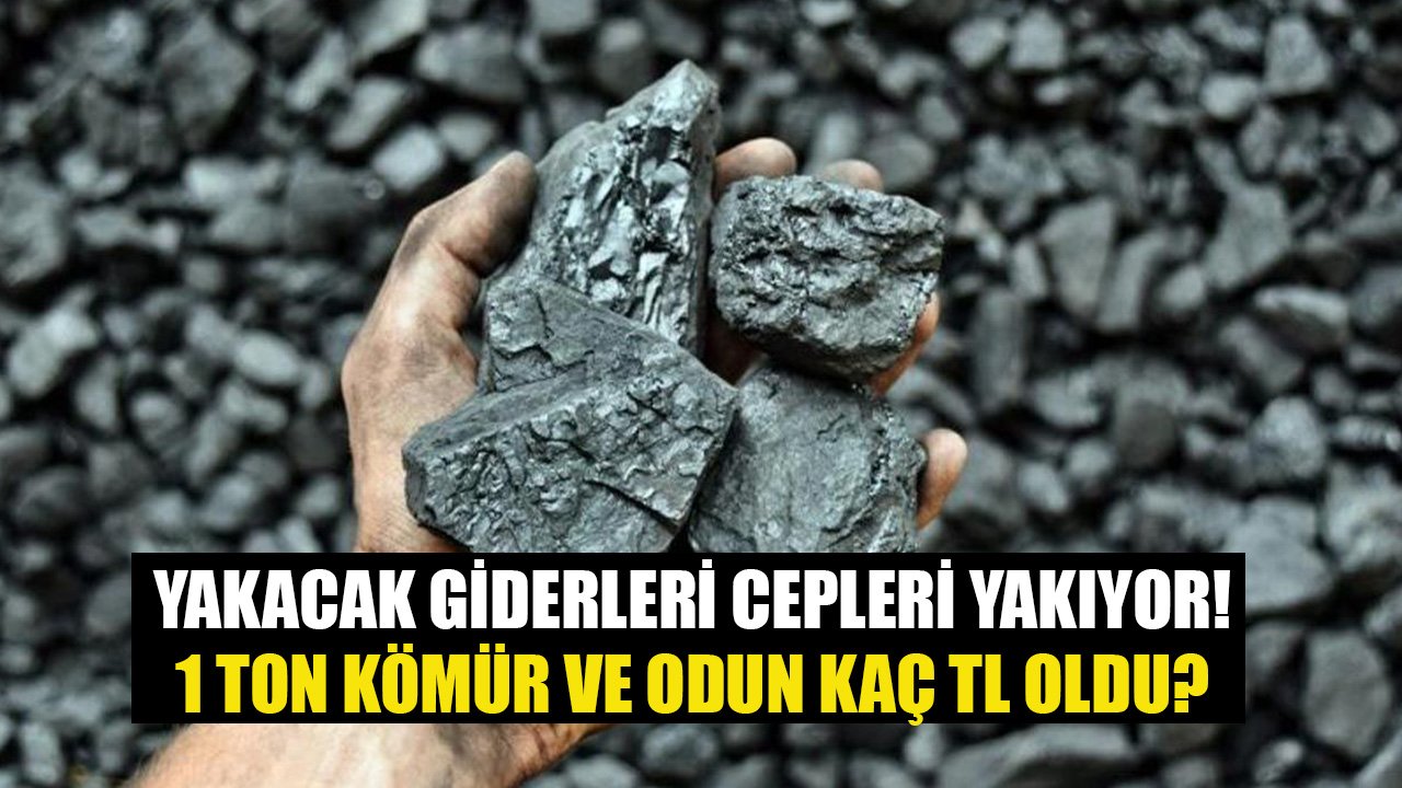 Yakacak Giderleri Cepleri Yakmaya Devam Ediyor! 1 Ton Kömür Ve Odun Kaç TL Oldu?
