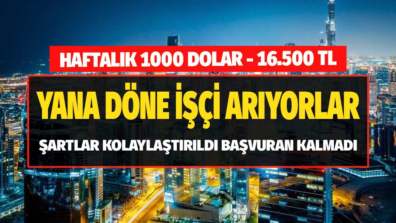 Haftalık 1000 Dolar! Yana Döne İşçi Arıyorlar Şartlar Kolaylaştırıldı Başvuran Kalmadı