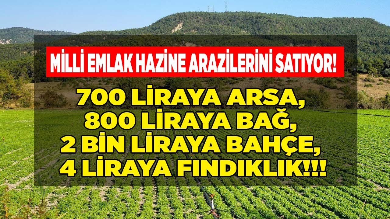 72 İlde 5 Bin 538 Hazine Arazileri Listesi Yayımlandı: Arsa, Tarla, Bağ, Bahçe! Milli Emlak 800 Liraya Satışa Çıkıyor