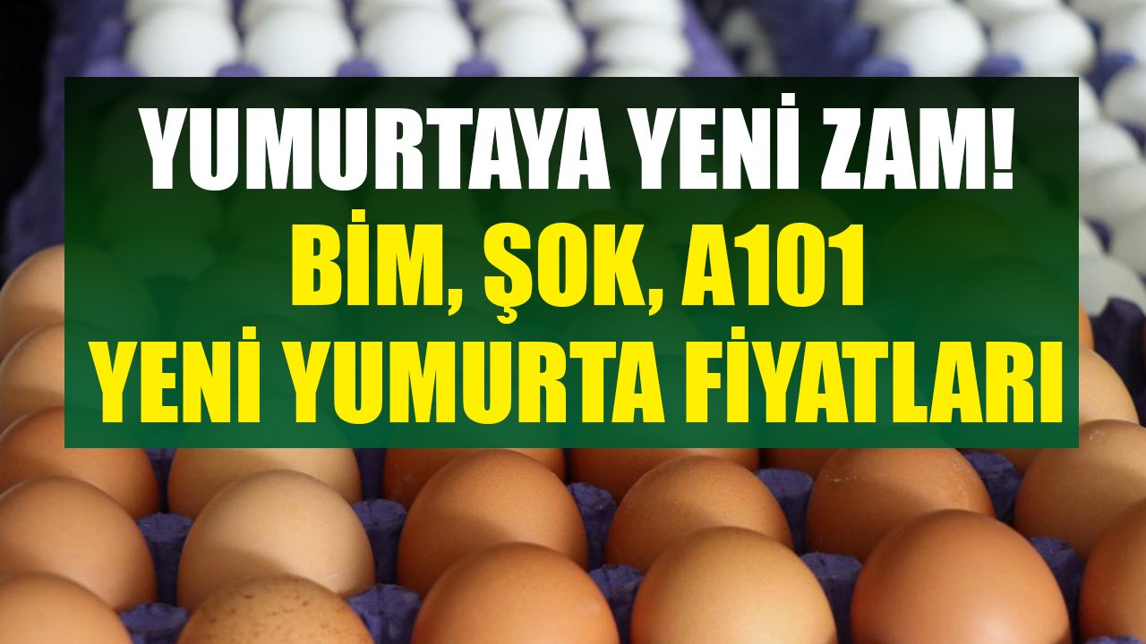 Gıda Zamları Döviz Kuru Dinlemiyor! BİM, Şok, A101'de Yumurtaya Yeni Zam, 15'li Ve 30'lu Yumurta Kaç TL Oldu?