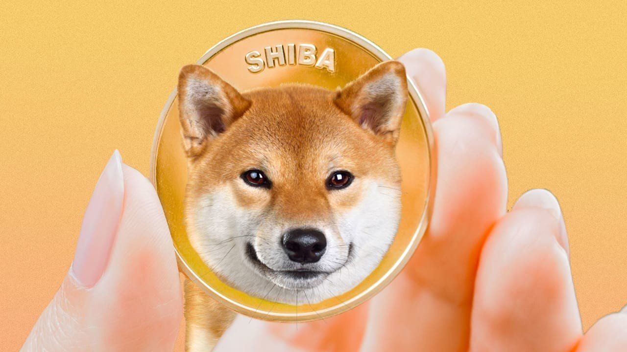 Son Zamanların Popüler Altcoini Shiba Inu'dan Beklenmedik Atak! Zirveye Yerleşti