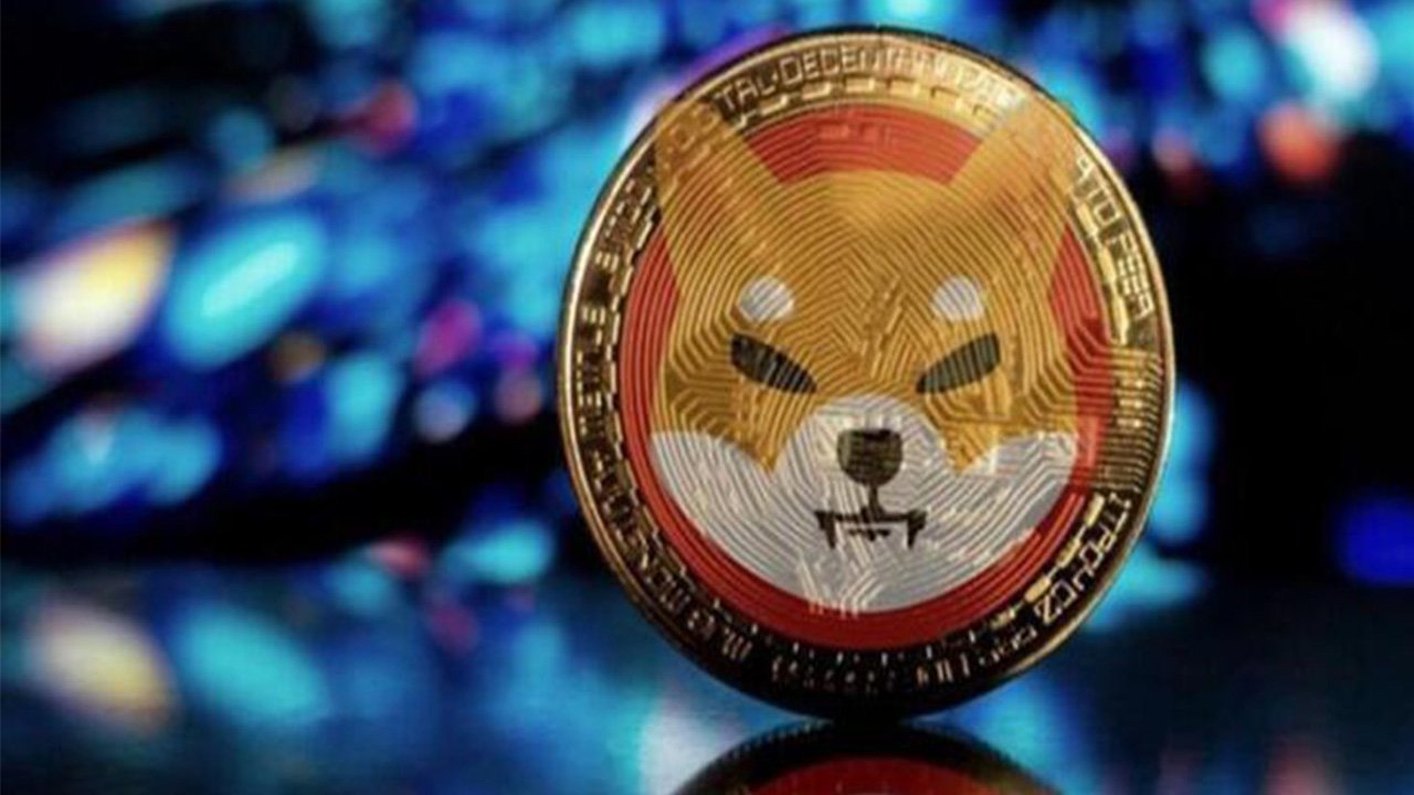 Dev SHIB Balinasından Şaşırtan Hamle: Bilinmeyen Altcoinden Satın Aldı!
