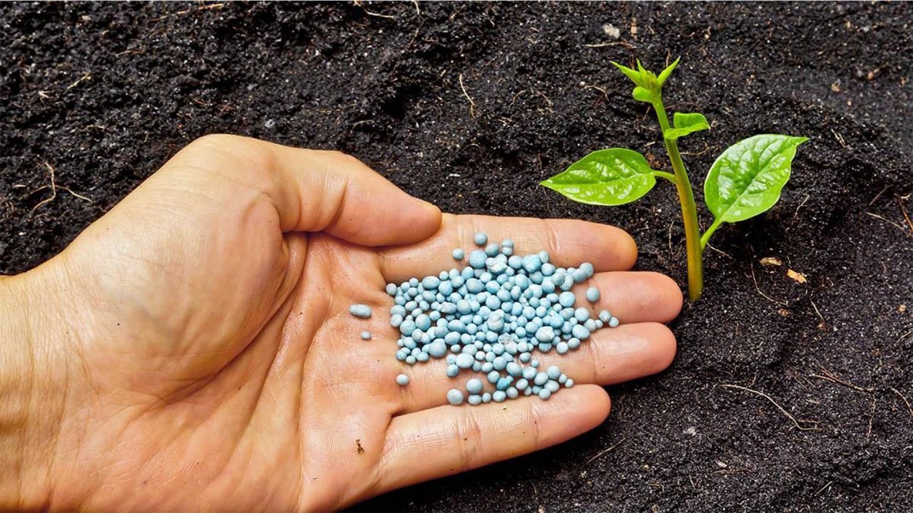Doların Düşüşü Çiftçiye Yaradı, Gübre Fiyatları Yüzde 22 Düştü! 2022 Gübre Ne Kadar Oldu?