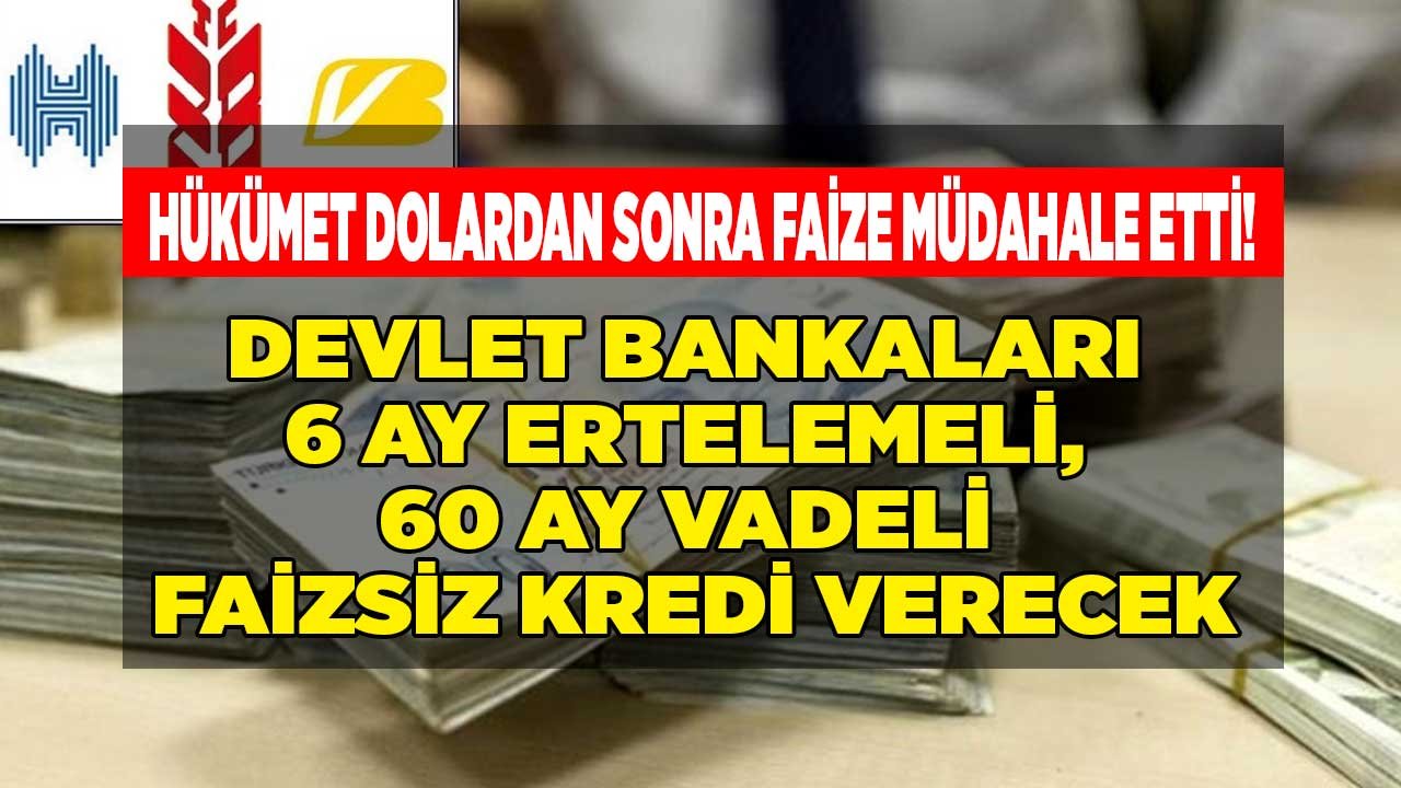 Hükümet Dolardan Sonra Faize Müdahale Etti! Devlet Bankaları 6 Ay Ertelemeli, 60 Ay Vadeli Faizsiz Kredi Verecek
