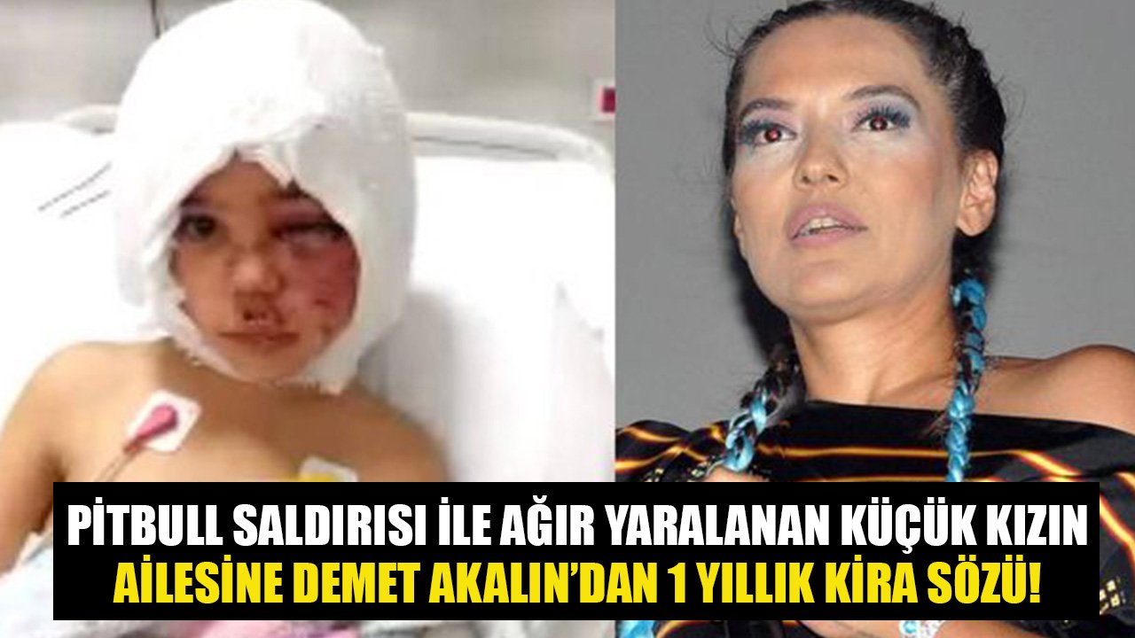 Gaziantep'te Pitbull Saldırı İle Yararlanan Küçük Kızın Ailesine Demet Akalın'dan 1 Yıllık Kira Desteği Sözü