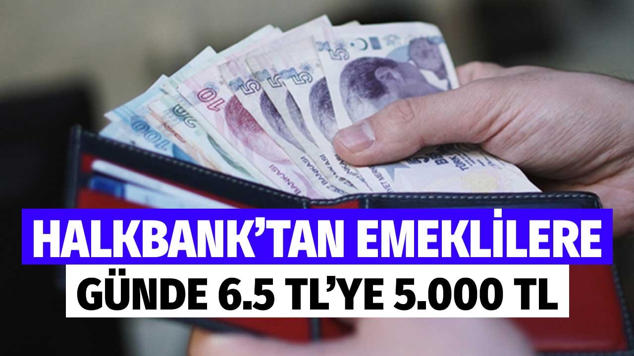 Halkbank'tan Emeklilere! Günde 6.5 Liraya 5.000 TL Emekli İhtiyaç Kredisi