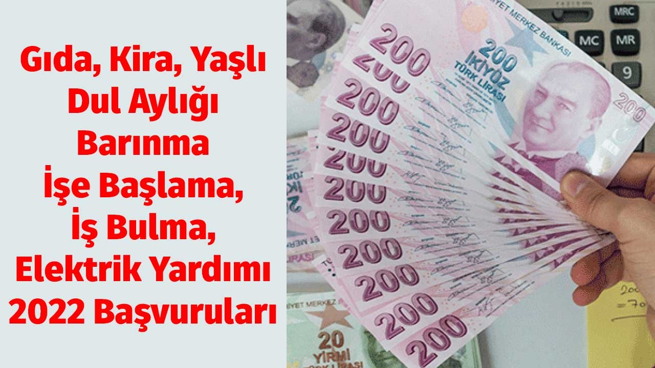 Gıda, Kira, Yaşlı, Dul Aylığı, Barınma, İşe Başlama, İş Bulma, Elektrik Yardımı 2022 Başvuruları