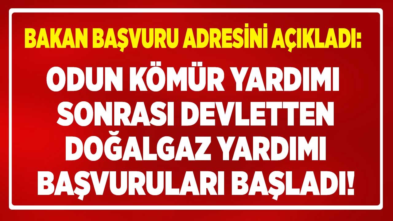 Aile Bakanlığı Yakacak Yardımları: İhtiyaç Sahiplerine Odun Kömür Yardımı Yapılıyordu, Doğalgaz Desteği De Başladı