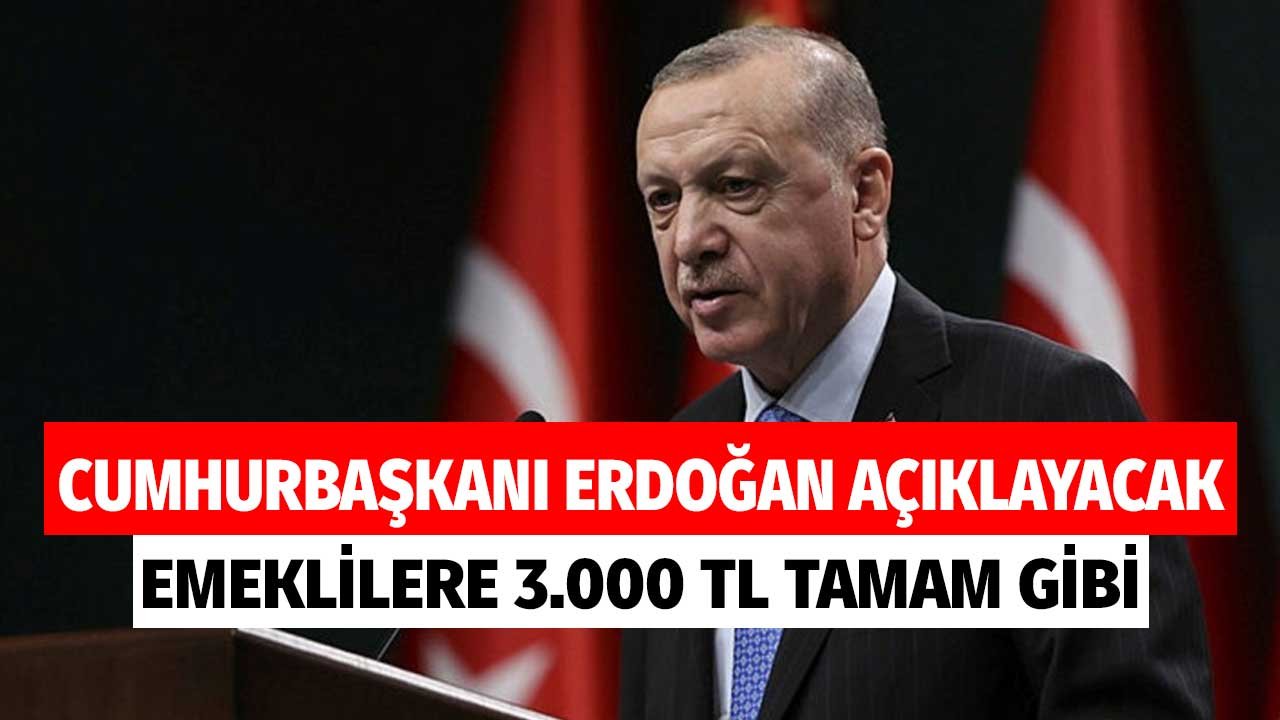 Cumhurbaşkanı Erdoğan Açıklayacak! Emeklilere 3.000 TL Aylık Formülü Tamam Gibi
