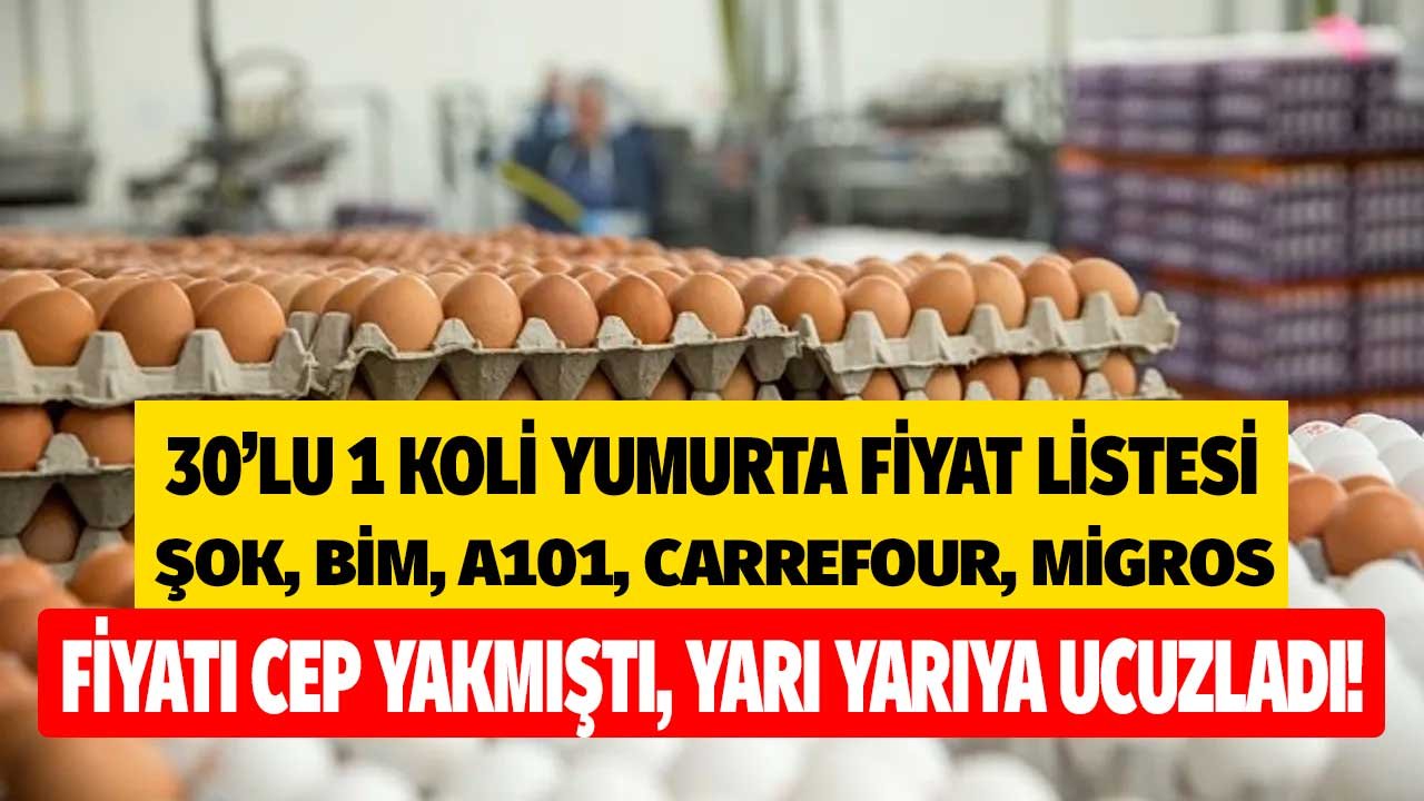 Cepleri Yakmıştı, Yarı Yarıya Ucuzladı! En Ucuz 1 Koli 30'lu Yumurta Fiyatı Şok, Migros, BİM, A101, Carrefour