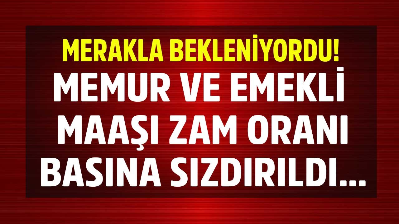 SON DAKİKA: 2022 Emekli ve Memur Maaşı Zam Oranı Basına Sızdırıldı! Enflasyon Farkı Maaş Zammı Kaç TL Olacak?