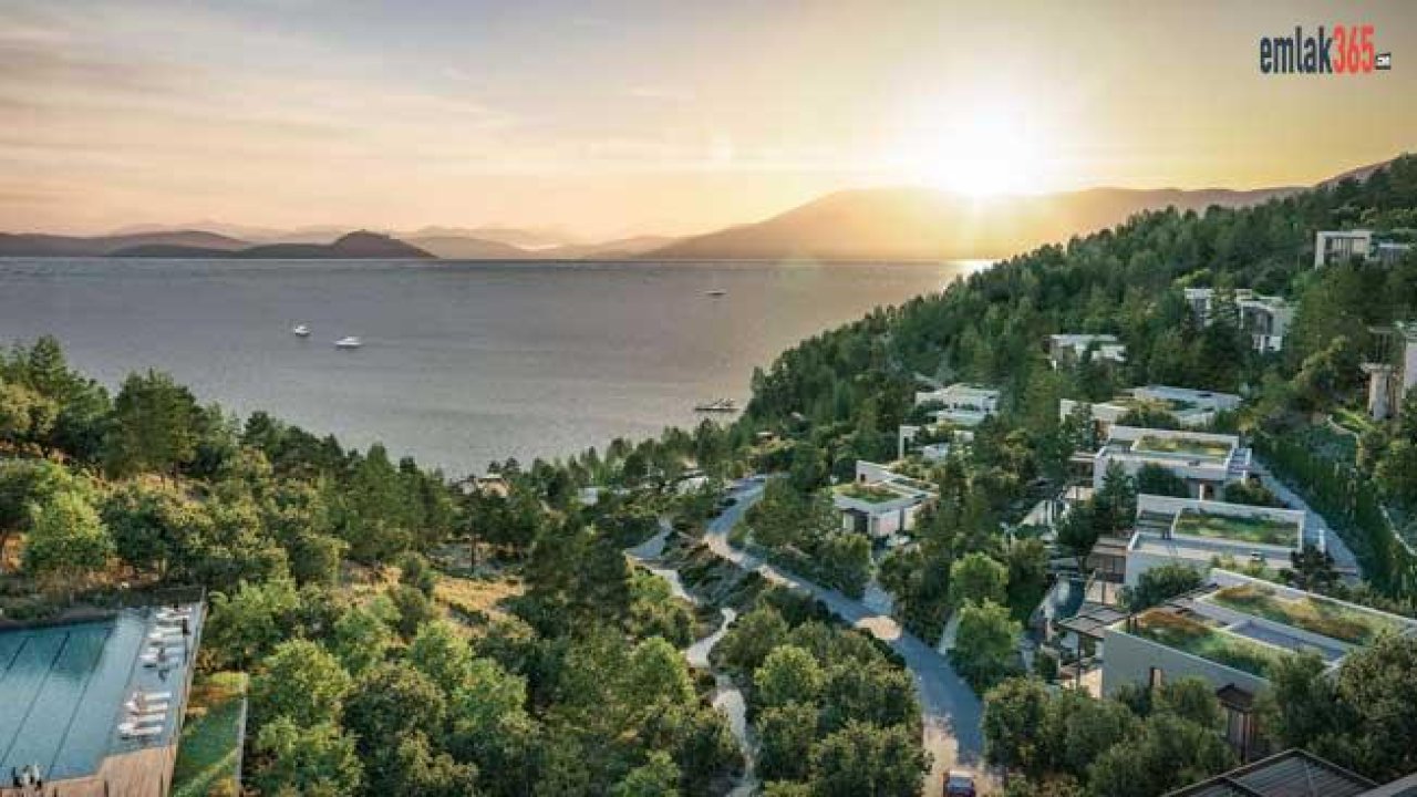 Mesa Bodrum Demirbükü Nerede, Fiyatlar Ne Kadar?