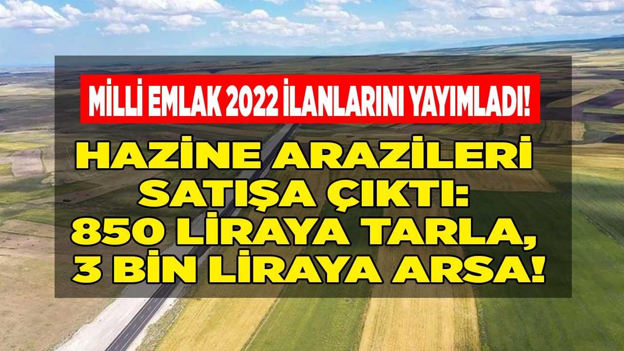 Milli Emlak / Arsa Satışları 2022: 3 Bin Liraya Satılık Hazine Arazisi, 850 Liraya Tarla, 35 Bin Liraya Çamlık