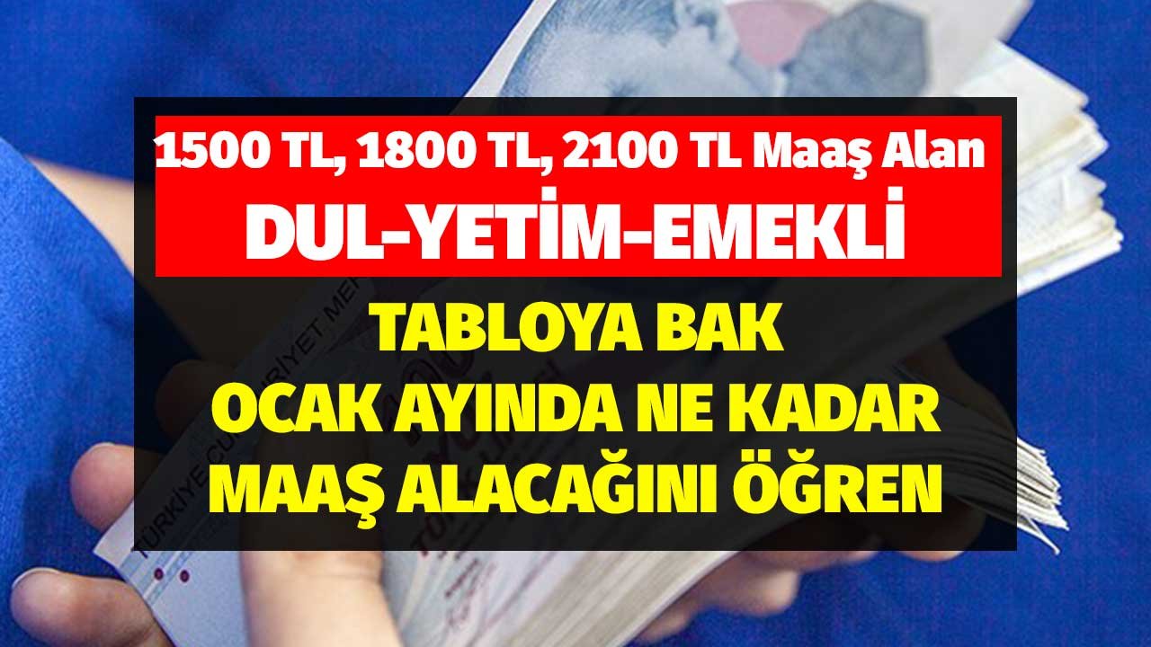1500 TL, 1800 TL, 2100 TL Maaş Alan Dul, Yetim, Emekli! Tabloya Bak Ocak 2022 Maaşını Öğren