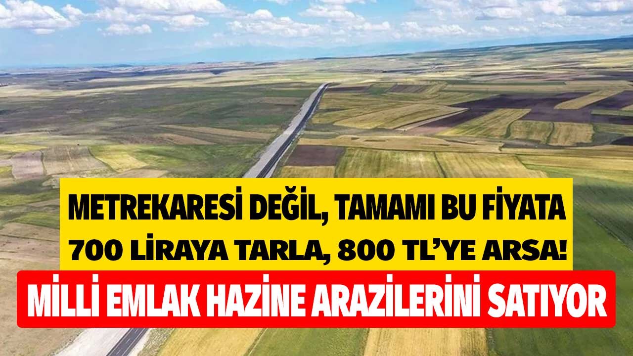 Arsanın Metrekaresi Değil Tamamı Bu Fiyata: Hazine Arazilerinin Satışı İçin 73 İlde Milli Emlak 5 Bin İlan Yayımladı