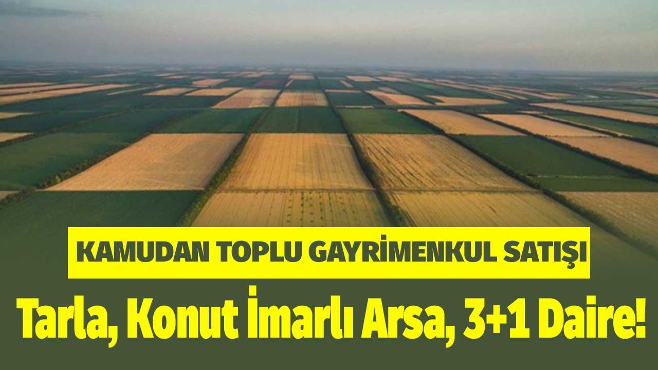 Tarla, Konut İmarlı Arsa, 3+1 Daire! Bir Duyuru ile Kamudan Toplu Gayrimenkul Satışları