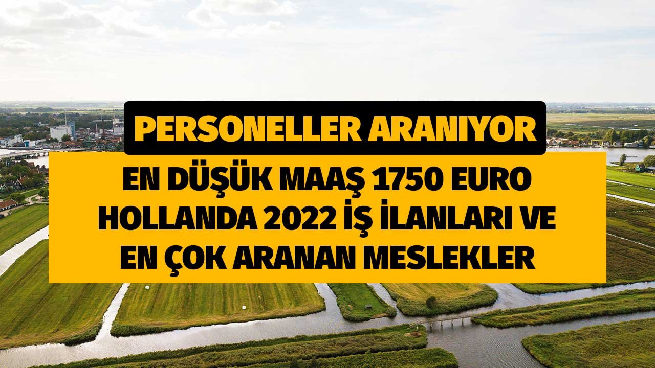 En Düşük Maaş Ortalama 1750 Euro! Hollanda 2022'de Bu Mesleklerden Personeller Arıyor