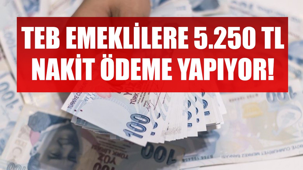 TEB'den Emeklilere 5.250 TL Nakit Ödeme! Başvuru Yapıp Paranızı Hemen Alabilirsiniz!
