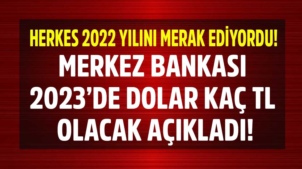 Herkes 2022 Yıl Sonu Dolar Tahmini Bekliyordu, Merkez Bankası 2023 Dolar Kuru Beklentisi Tahminini Açıklandı!