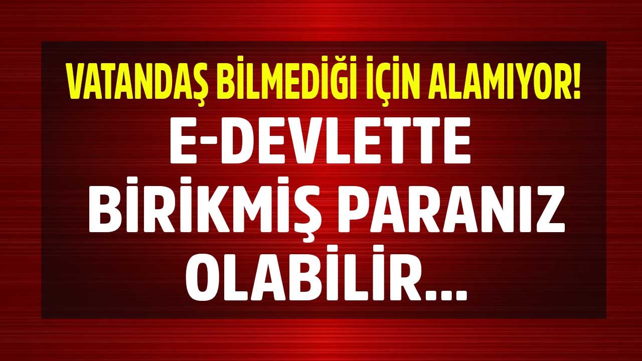 Tek Tıkla Sorgula: E-Devlet Üzerinden Alacağınız Binlerce Liranız Olabilir! Şahıs Ödemeleri, BES, Bankada Kalan Para