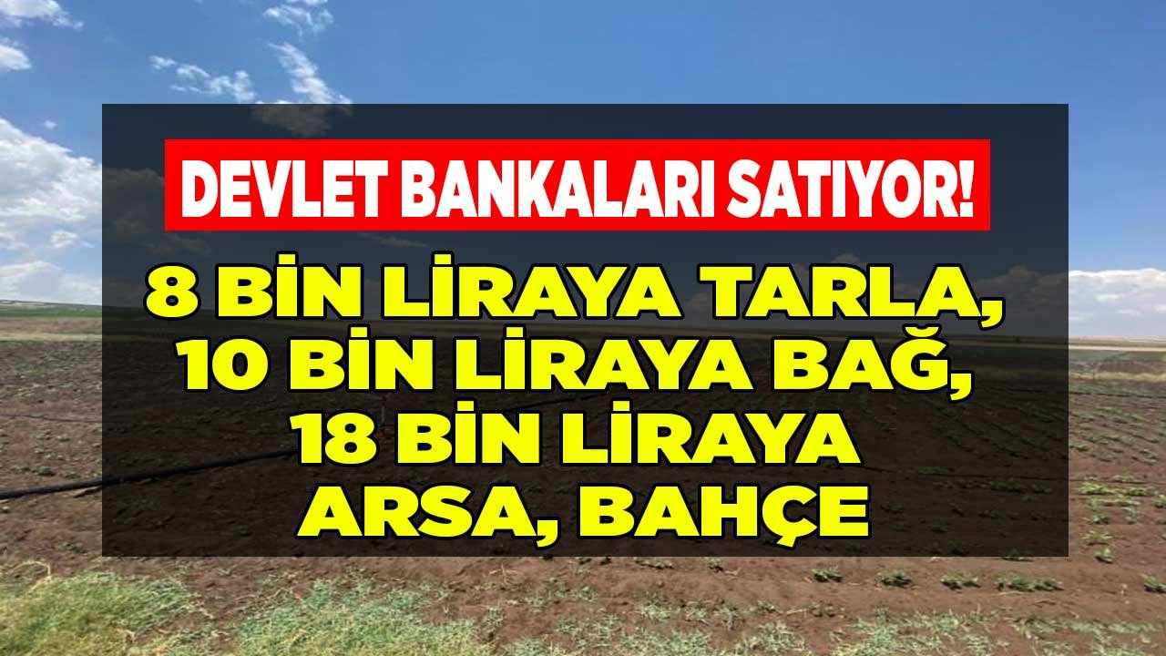 Ziraat Bankası, Halkbank ve Vakıfbank Gayrimenkul Satış İlanları: 3252 M2 Tarla 8.800 TL, Bağ 10, Bahçe, Arsa 18 Bin TL