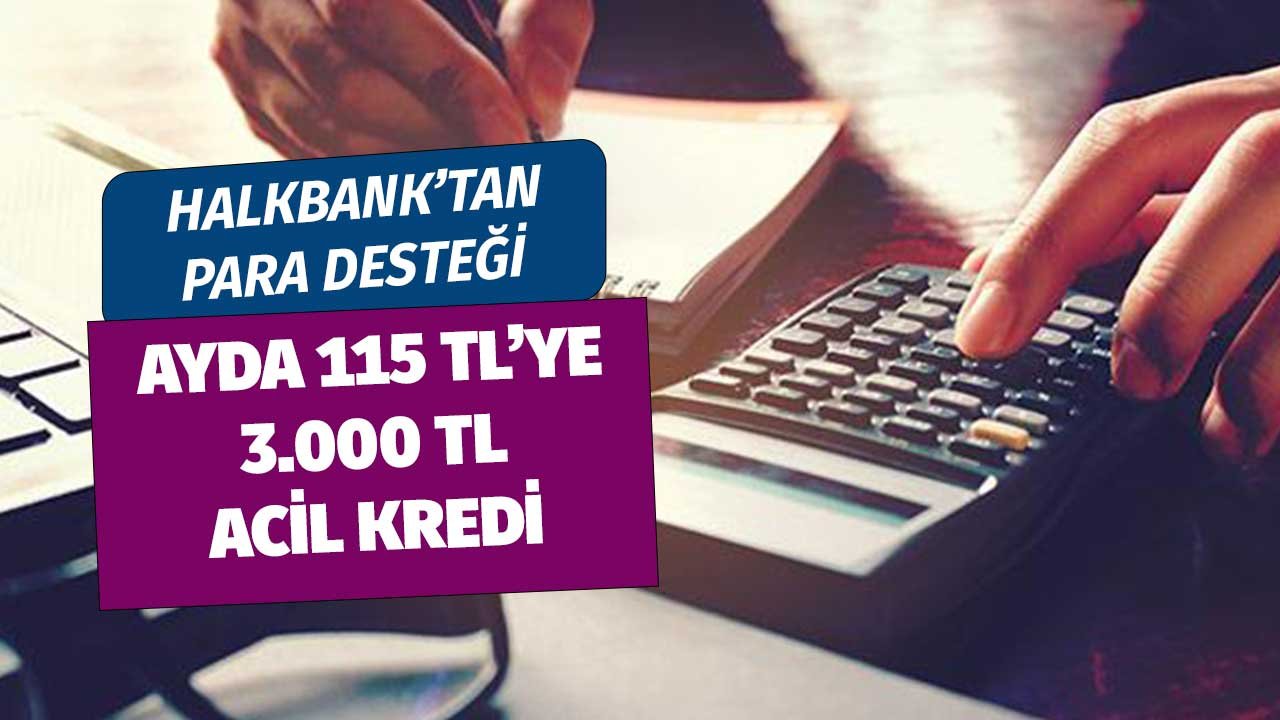 Halkbank 3000 TL Para Desteği Veriyor! 3 Sonra Ayda 115 Lirayla Kapatılacak