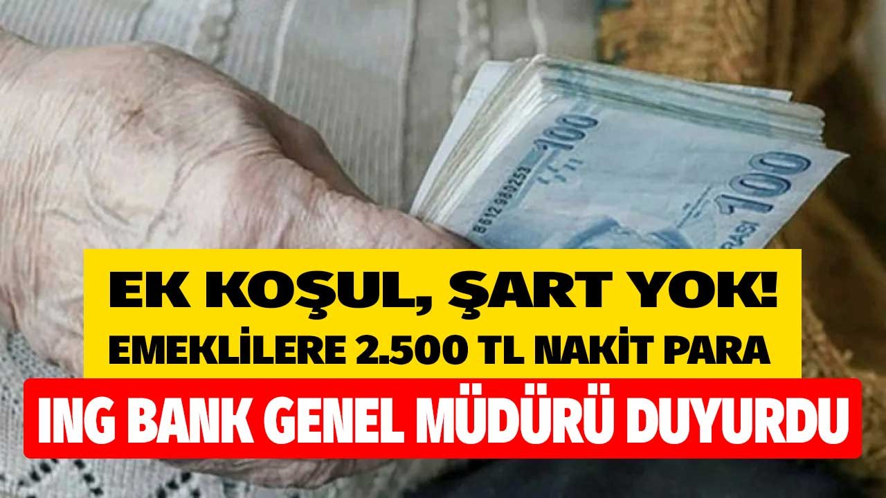 Ek Koşul Şart Yok! ING Bank GM Yardımcısı Kırmızı Emeklilere 2 Bin 500 TL Nakit Para Verileceğini Açıkladı