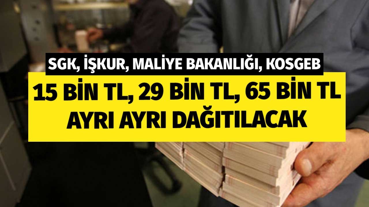 SGK, İŞKUR, Maliye Bakanlığı, KOSGEB! 14 Bin TL, 29 Bin TL, 65 Bin TL Ayrı Ayrı Verilecek