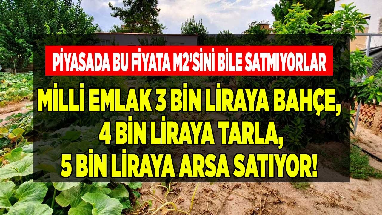 Piyasada Bu Fiyata Metrekaresini Satmıyorlar! Milli Emlak Hazine Arazileri, Arsa ve Tarla 2022 Fiyatları Açıklandı