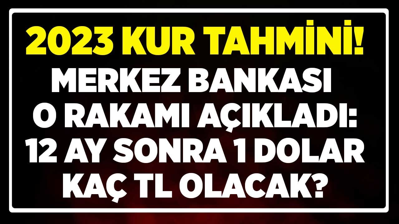 TCMB 2023 Kur Tahmini: 12 Ay Sonra 1 Dolar Kaç TL Olacak Merkez Bankası Açıkladı!
