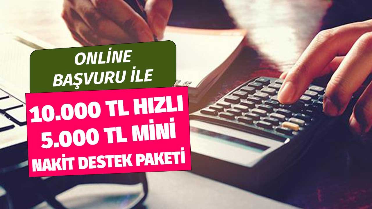 Online Başvuruyla 10.000 TL Hızlı 5.000 TL Mini Nakit Destek Paketi