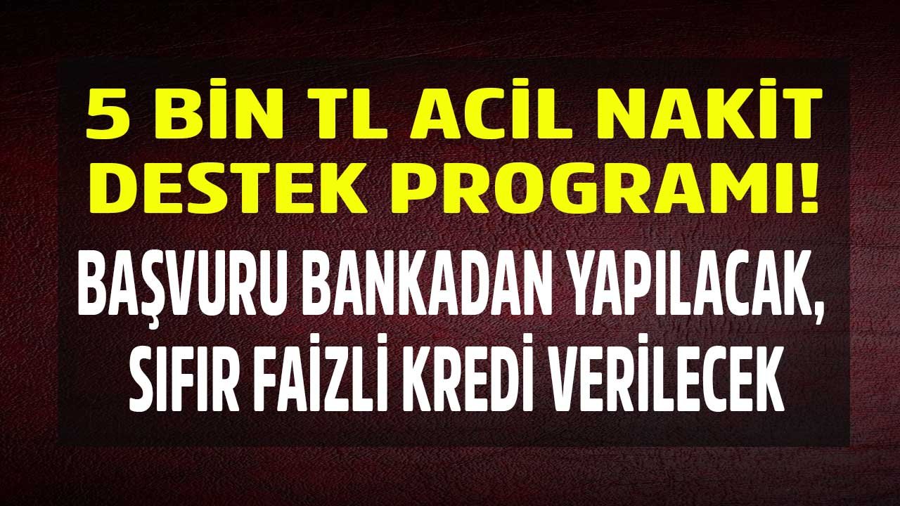 5 Bin TL Acil Nakit Destek Programı! Başvuru Bankadan Yapılacak, Sıfır Faizli Kredi, Faizsiz İhtiyaç Kredisi Verilecek