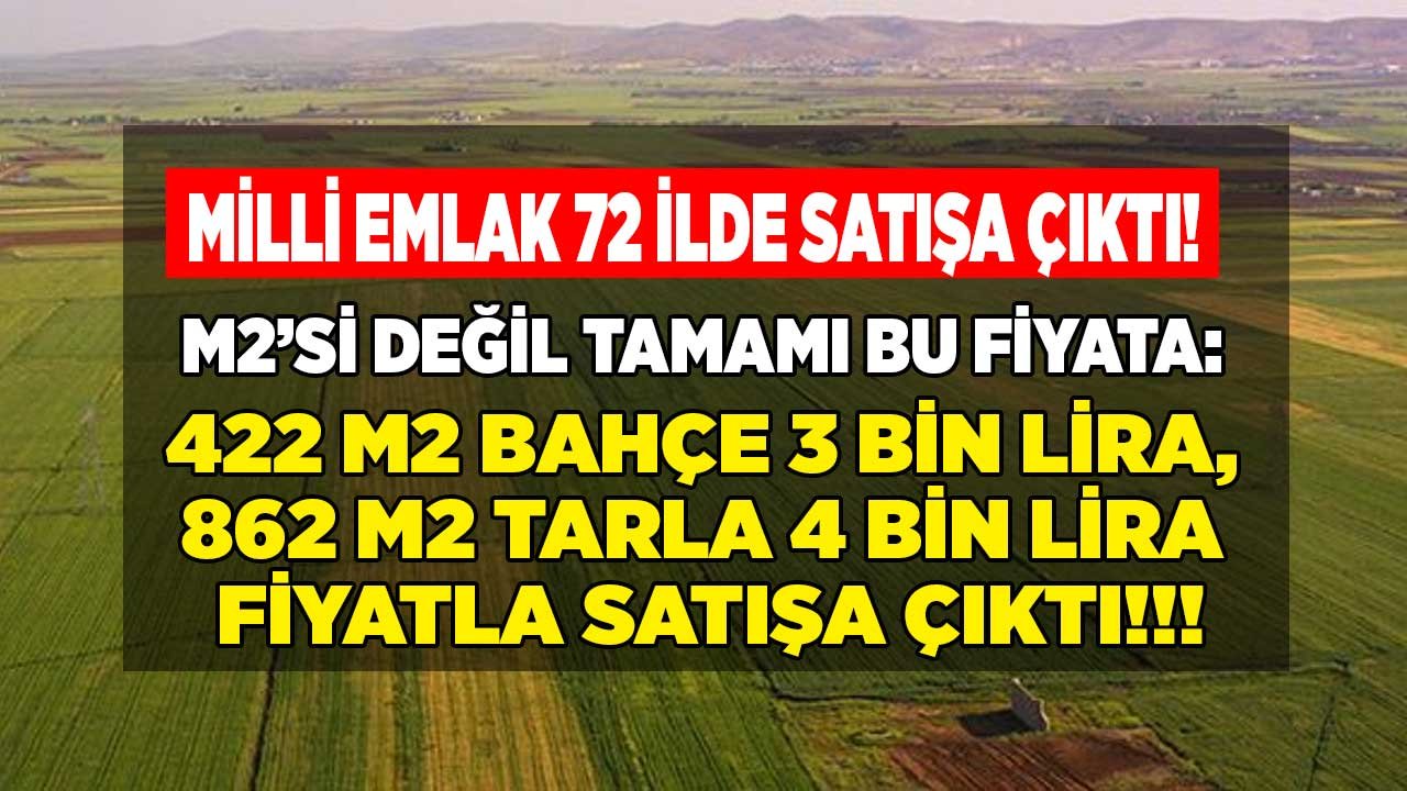 Satılık Hobi Bahçesi İlanları: Milli Emlak Satış Duyurusu 422 M2 Bahçe 3 Bin Lira, 862 M2 Tarla 4.312 TL Fiyatla Satışta