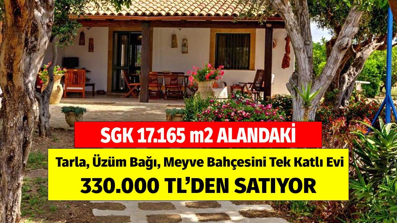 SGK 17.165 m2 Alandaki Tarla, Üzüm Bağı, Meyve Bahçesini Tek Katlı Evi 330.000 TL'ye Satıyor