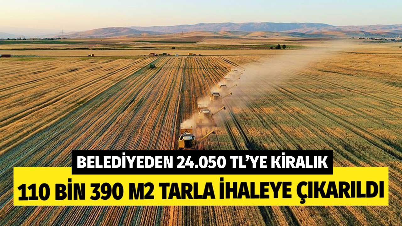 110 Bin 390 Metrekare Tarla Belediyeden Yıllık 24 Bin TL'ye Kiralık