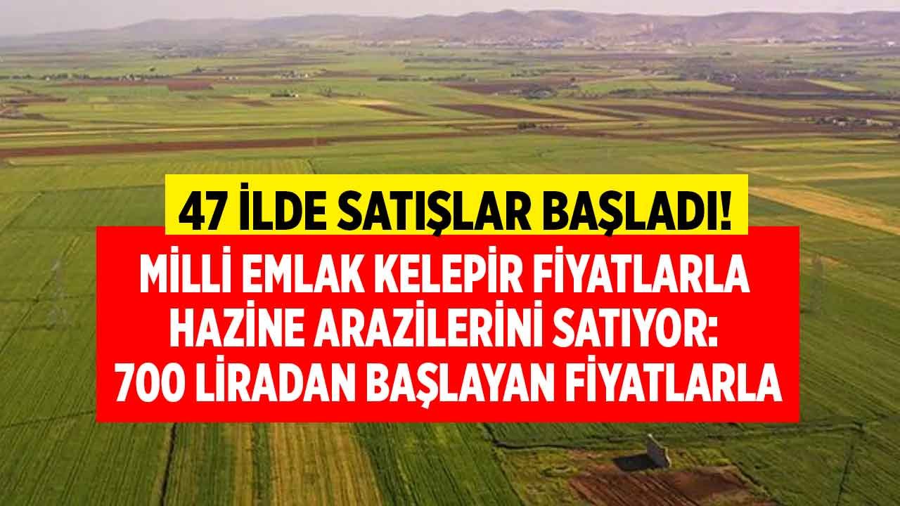 5 Yıl Emlak Vergisi, KDV, Tapu Harcı Ödemeden Arsa Yatırımı! Milli Emlak 47 İlde Hazine Arazilerini Satışa Çıkardı