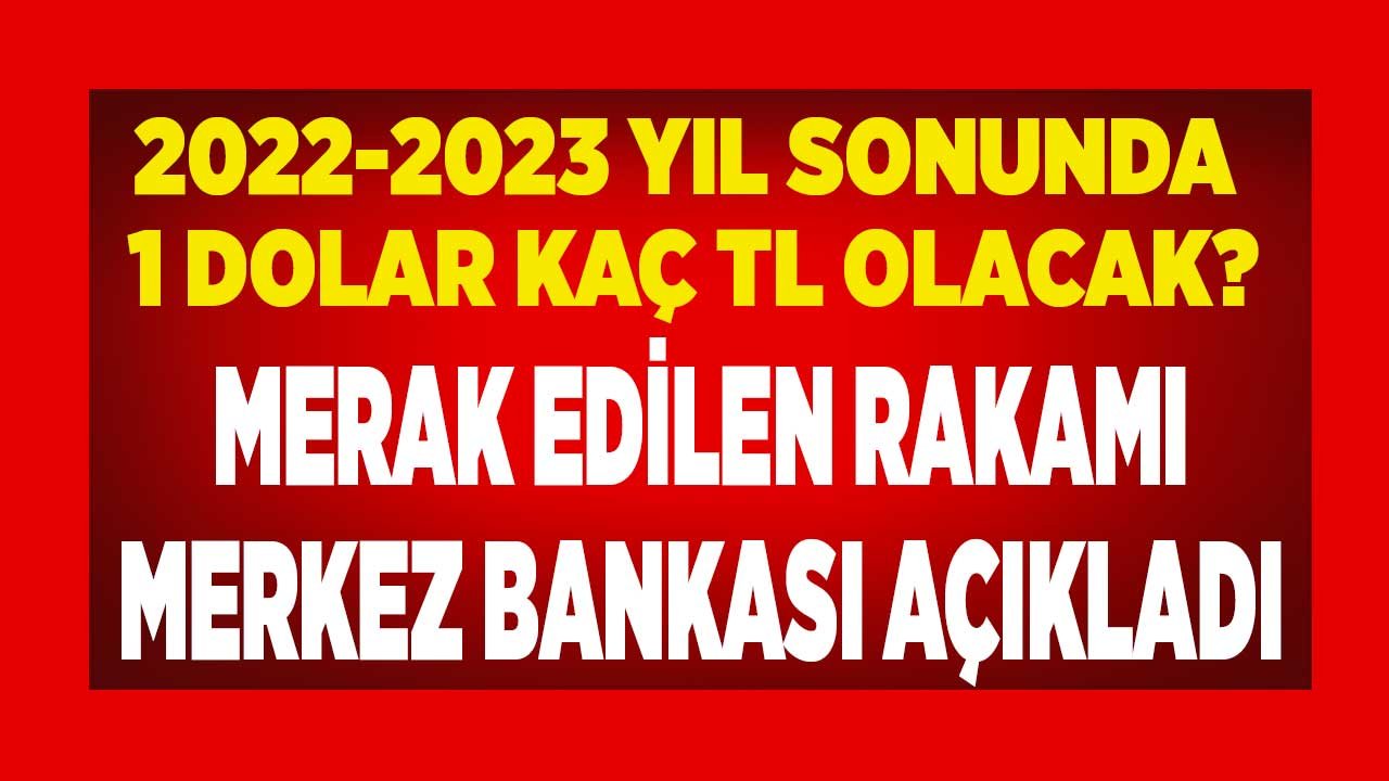 Merkez Bankası Hem 2022 Hem 2023 Tahminini Yükseltti! Yıl Sonunda 1 Dolar Kaç TL Olacak TCMB Beklentisi Açıklandı
