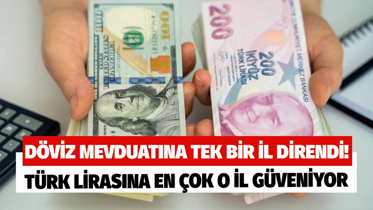 BDDK Verileri Paylaştı! O İl Gerileyen Türk Lirası Mevduatına Tek Başına Direniyor