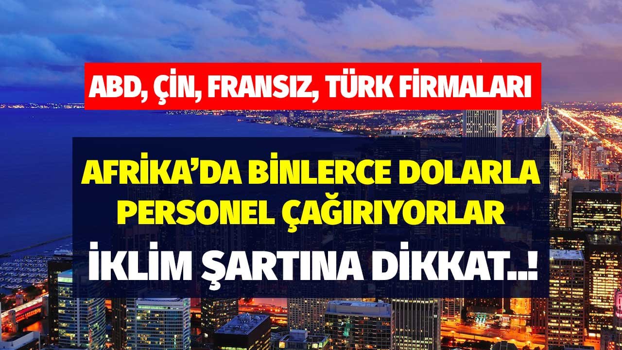 Afrika'da Çin, ABD, Fransız ve Türk Firmaları Binlerce Dolarla Personel İşçi Çağırıyorlar İklim Şartına Dikkat